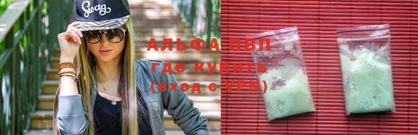 PSILOCYBIN Балахна