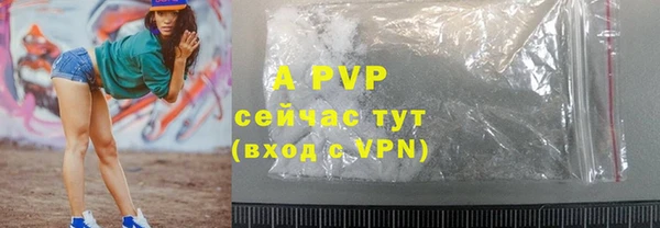 PSILOCYBIN Балахна