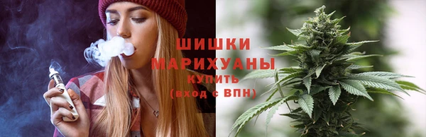 PSILOCYBIN Балахна