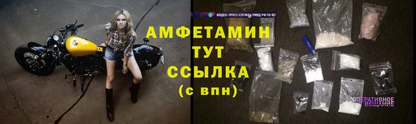 PSILOCYBIN Балахна