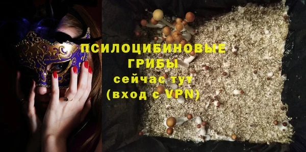 PSILOCYBIN Балахна