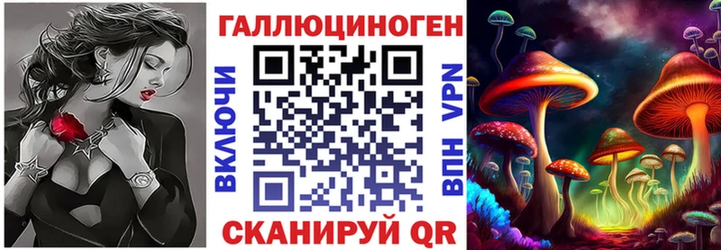 omg зеркало  Чистополь  Псилоцибиновые грибы прущие грибы 